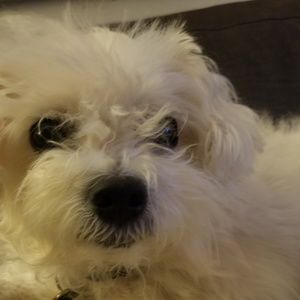 Meet your Posher, Katy